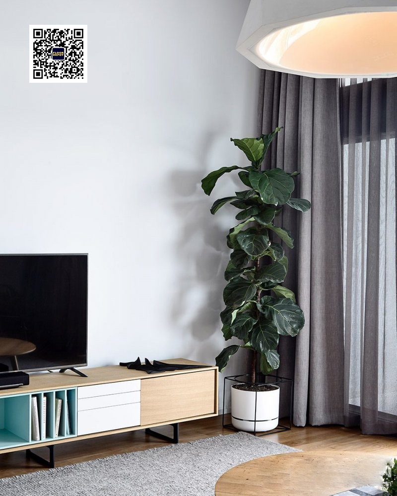 木地板顏色就該這么選，太贊了！