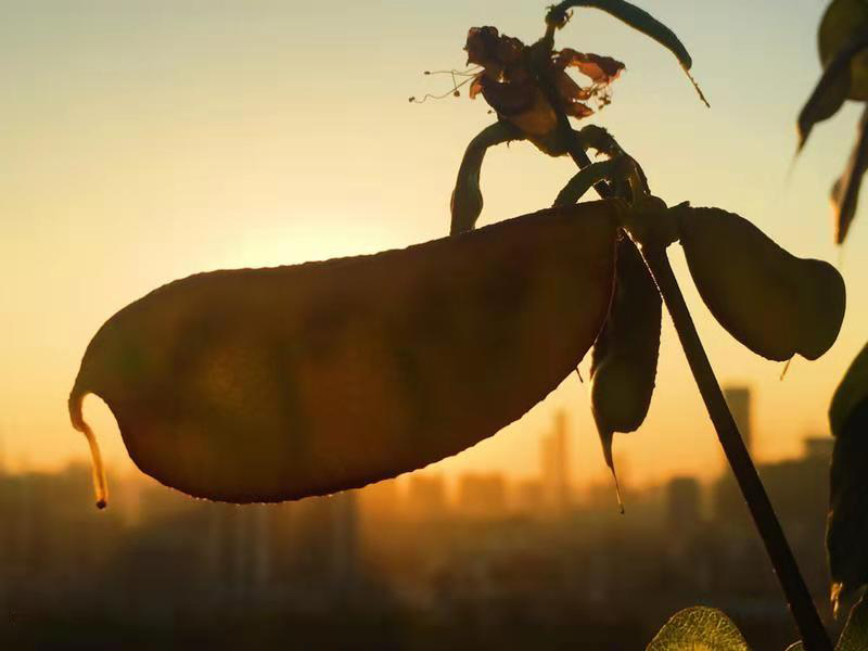 地多寶打卡日?！狹onday