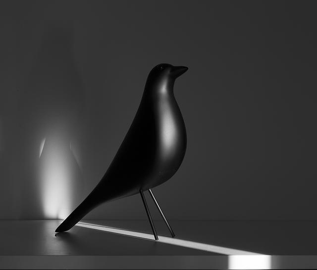 純白極簡風(fēng)，美的驚心動魄！