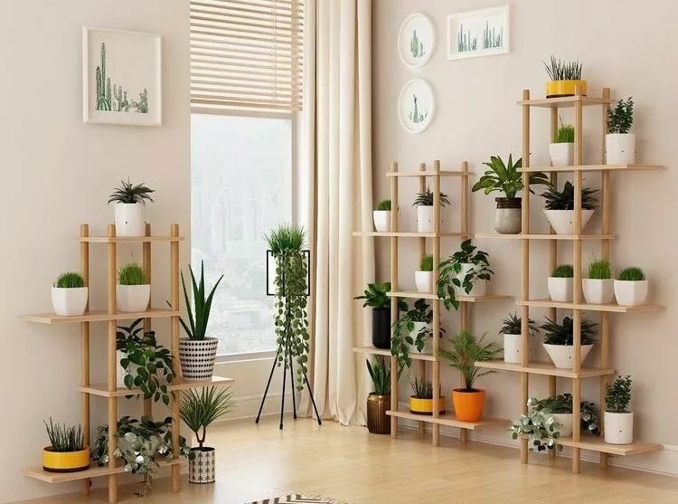 2019財運滾滾來.jpg 2019財運滾滾來.jpg