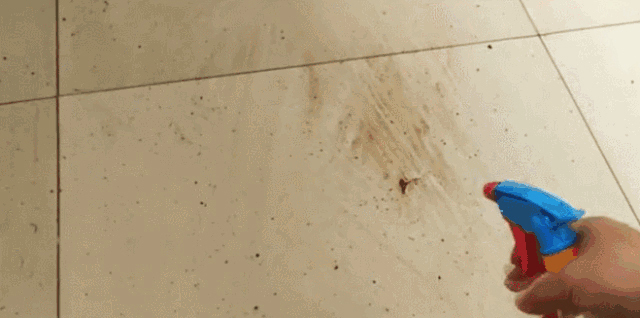 joa5Xo7E01944Jgd73XT55V19O9r1sZZ.jpg 5.jpg